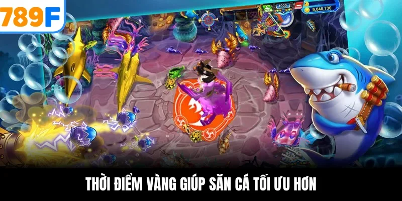 Thời điểm vàng giúp săn cá tối ưu hơn