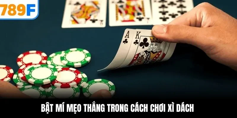 Bật mí mẹo thắng trong cách chơi xì dách